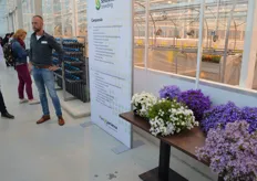 In campanulas, the world knows the varieties under the brand name Addenda (outside of Europe they are known as Florentes). In the search for better, nicer and stronger plants, compactness, exuberant flowering and the formation of an even round shape remain important, says breeder Stijn Megens.